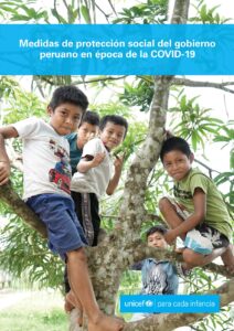 Medidas de protección social del gobierno peruano en época de la Covid-19