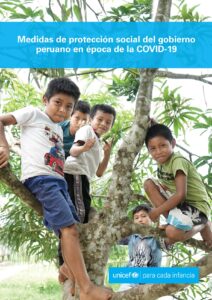 Medidas de protección social del gobierno peruano en época de la COVID-19