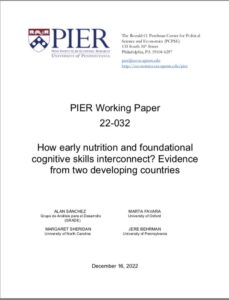 How early nutrition and foundational cognitive skills interconnect? Evidence from two developing countries