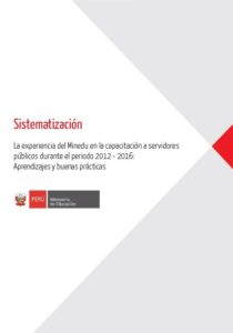 Sistematización: la experiencia del Minedu en la capacitación a servidores públicos durante el periodo 2012-2016: aprendizajes y buenas prácticas