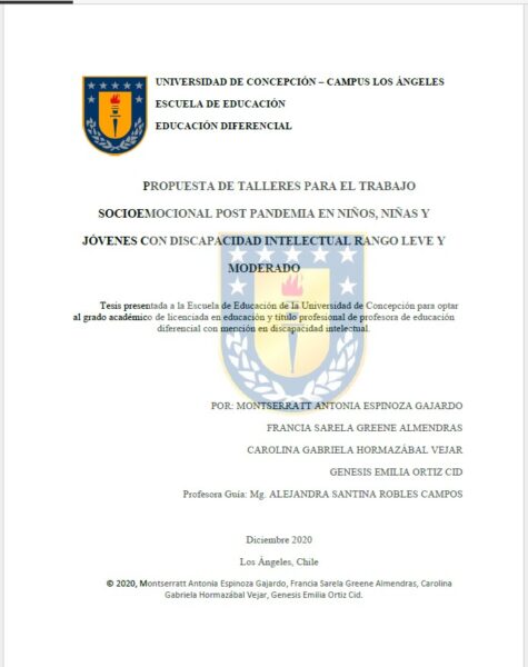 Propuesta de talleres para el trabajo socioemocional post pandemia en niños, niñas y jóvenes con discapacidad intelectual, rango leve y moderado