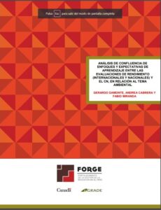 Análisis de confluencia de enfoques y expectativas de aprendizaje entre las evaluaciones de rendimiento (internacionales y nacionales) y el CN, en relación al tema ambiental