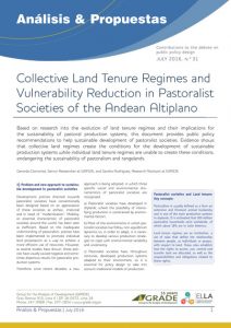 Collective Land Tenure Regimes and Vulnerability Reduction in Pastoralist Societies of the Andean Altiplano