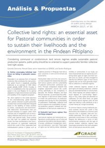 Collective land rights: an essential asset for Pastoral communities in order to sustain their livelihoods and the environment in the Andean Altiplano