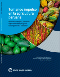 Productividad de la agricultura peruana